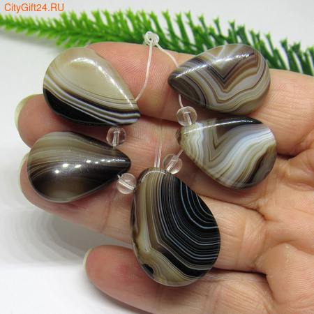 PH ����� �������� ���������� ����*