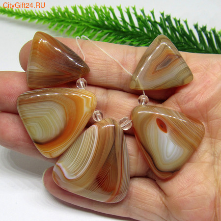 PH ����� �������� ��������� ����*