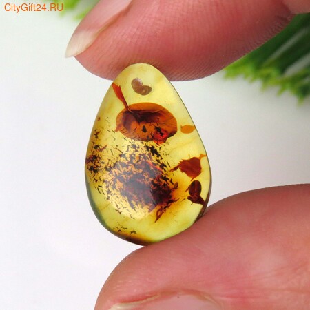 PH �������� ������ ����������� 19*13*5 ��*