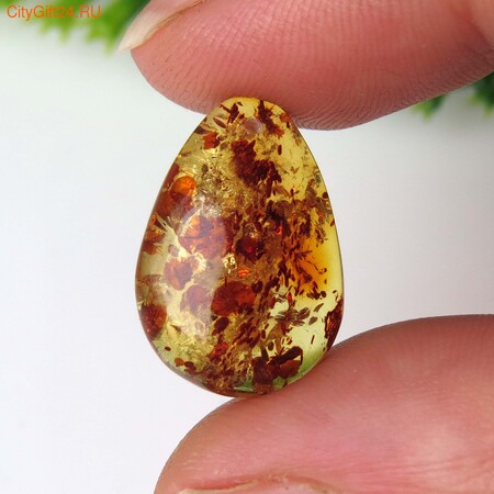 PH �������� ������ ����������� 19*13*6,5 ��*