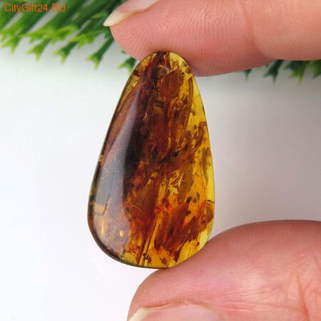 PH �������� ������ ����������� 30*17*6,5 ��*