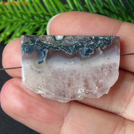 PH ������ ���� ����� �������� 33*23*6 ��*