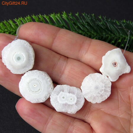 PH ������ ��������������� ������ 17~19 ��*