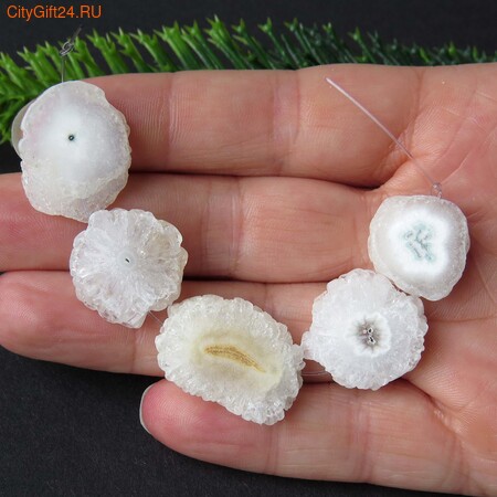 PH ������ ��������������� ������ 17~19 ��*