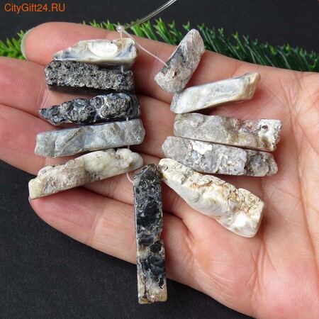 PH ������ ����������� ���� ������� 19~40*6~9 ��*