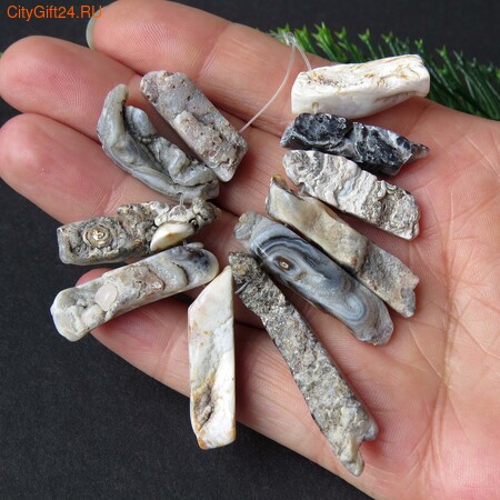 PH ������ ����������� ���� ������� 19~40*6~9 ��*