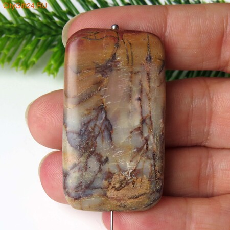 PH ������ ���� ������� 46*26*6 ��*