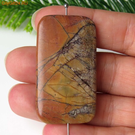 PH ������ ���� ������� 46*26*6 ��*