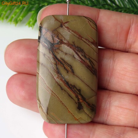 PH ������ ���� ������� 46*26*6 ��*