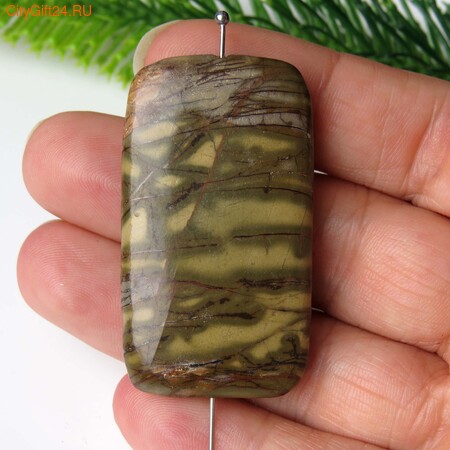 PH ������ ���� ������� 46*26*6 ��*