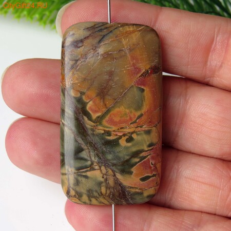 PH ������ ���� ������� 46*26*6 ��*