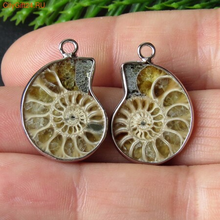 PH �������� ������� 24*17*5 ��*