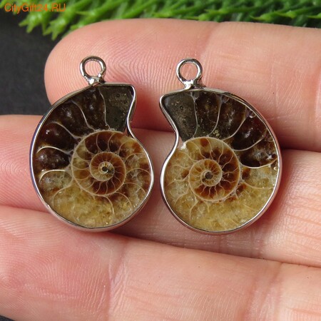 PH �������� ������� 24*17*5 ��*