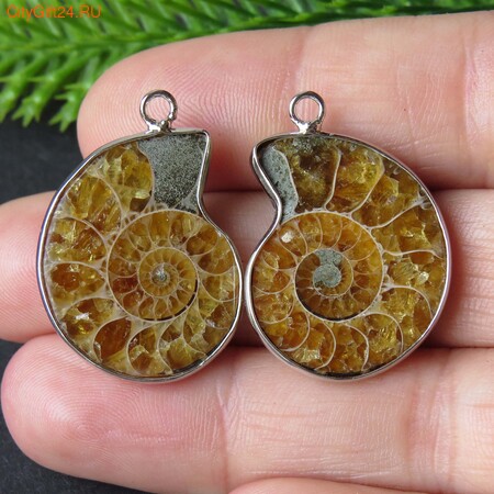 PH �������� ������� 28*20*6 ��*