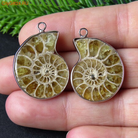 PH �������� ������� 30*21*6 ��*