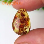 PH �������� ������ ����������� 19*13*6,5 ��*