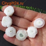 PH ������ ��������������� ������ 17~19 ��*