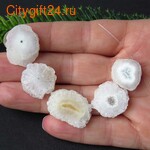 PH ������ ��������������� ������ 17~19 ��*