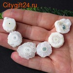 PH ������ ��������������� ������ 17~19 ��*