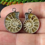 PH �������� ������� 24*17*5 ��*