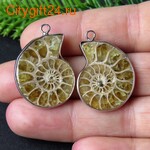 PH �������� ������� 30*21*6 ��*