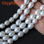 BS    10~16*10~11 